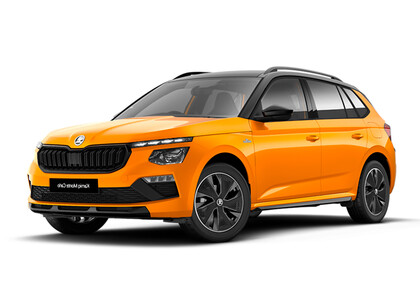 Ворсовые коврики на Skoda Kamiq (Европа) 2019&nbsp;-&nbsp;2026 в Краснодаре