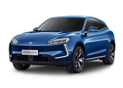 EVA коврики на Seres SF5 2019&nbsp;-&nbsp;2022 в Краснодаре