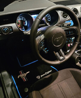 Ворсовые коврики на Ford Mustang VI 2013&nbsp;-&nbsp;2023 в Краснодаре